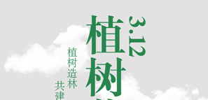 �y�ֲ�����������������