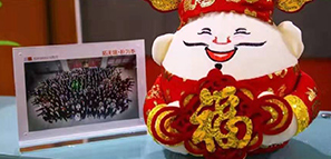 ������ϲ��(b��o)�����ؘ��O(sh��)Ӌ(j��)�o����������